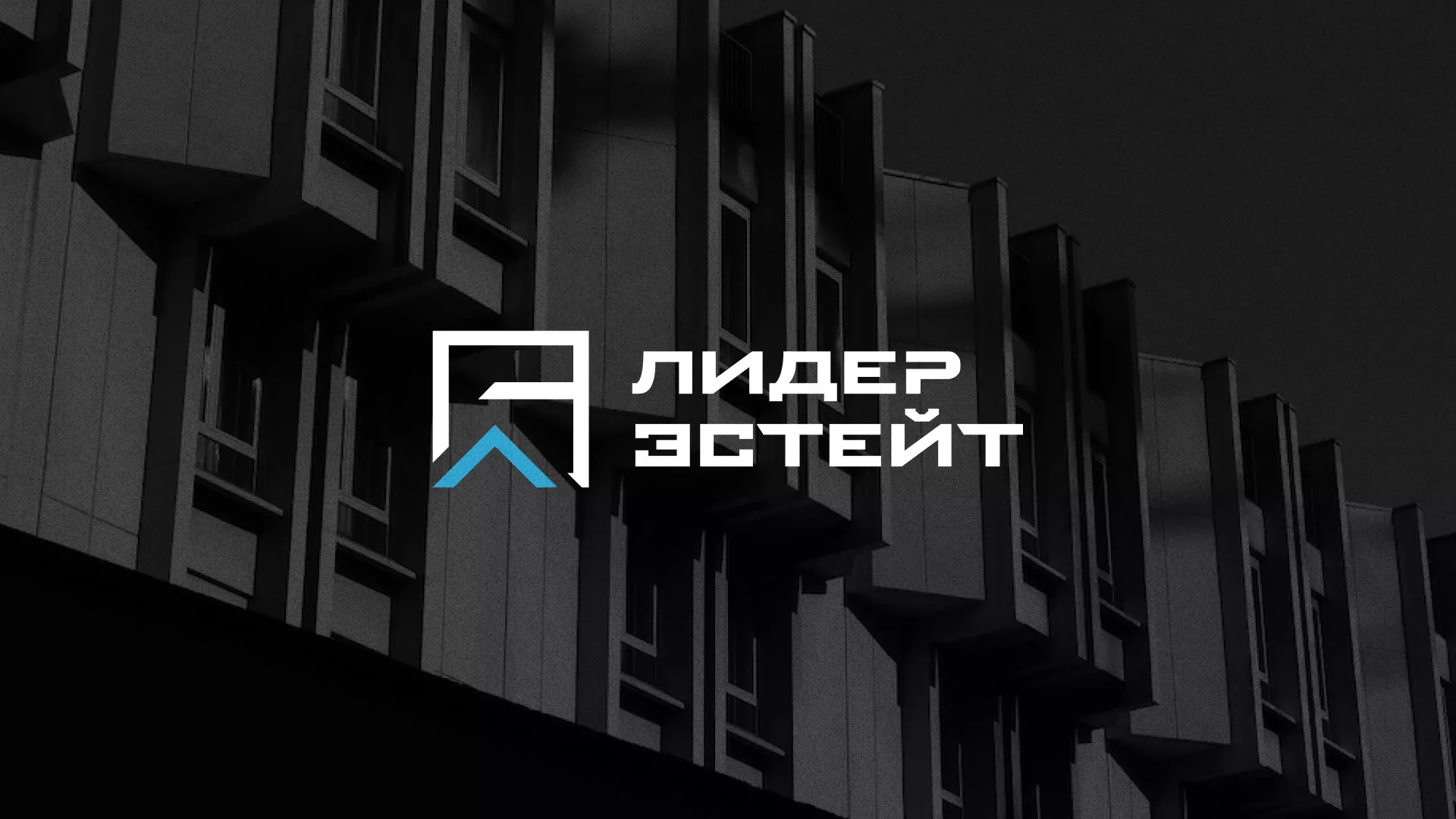 Разработка логотипа агентства недвижимости «Лидер Эстейт» в Ухте